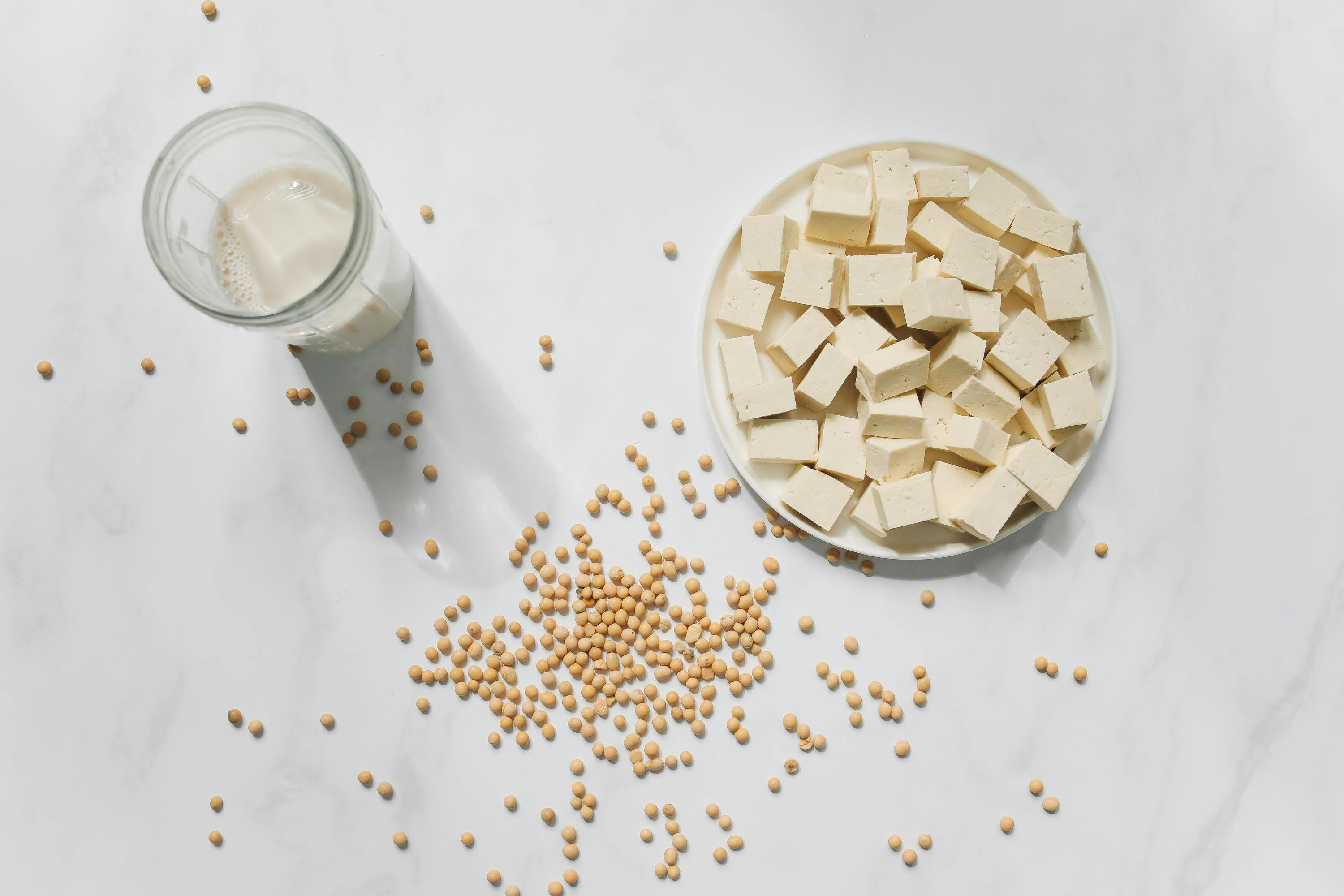 Raj Ganpath dice que deberías hacer que las proteínas sean obligatorias en cada comida; Puedes incluir leche o tofu en tu dieta. (Pexel)