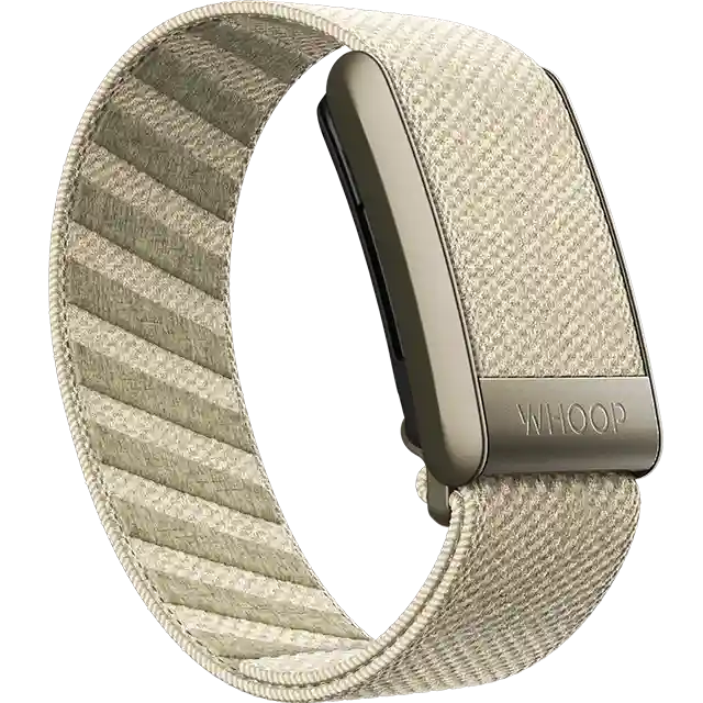 El sensor es adecuado para varios accesorios, como los brazos del brazo o el desgaste de compresión. (Foto: Gadgets 360)