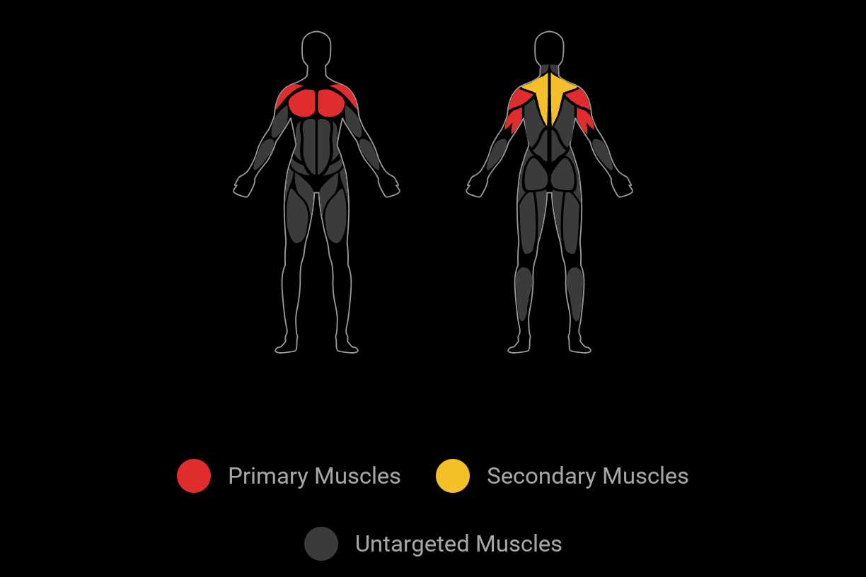 La parte visual de los grupos musculares objetivo en un entrenamiento.