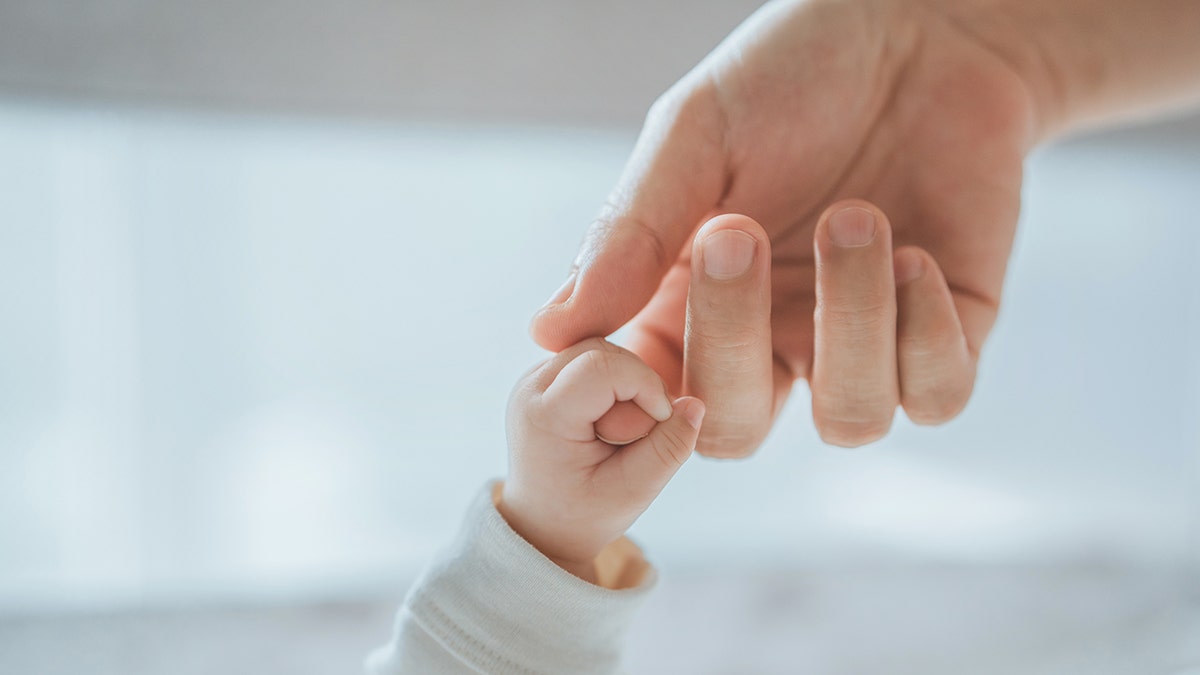 El bebé del bebé es la pequeña mano de la mano de la madre.