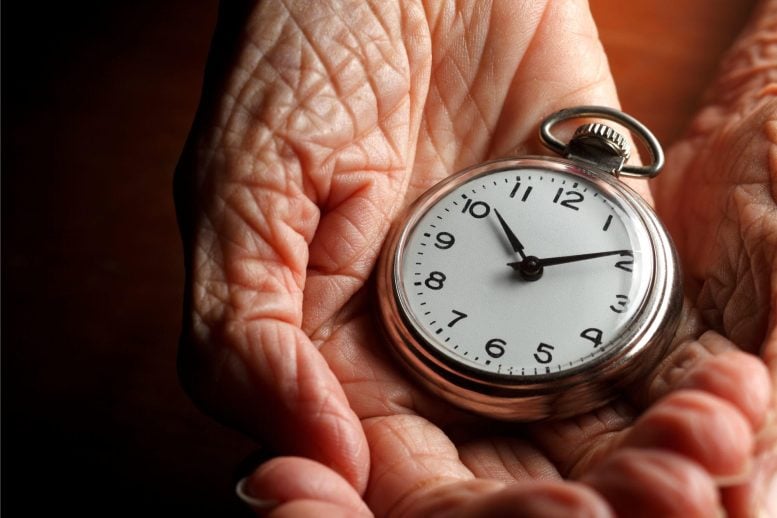 Reloj Envejecimiento Tiempo Antiguo