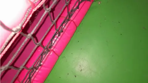 Ayuntamiento de Derby excrementos de ratón en el suelo verde con rejilla a la izquierda